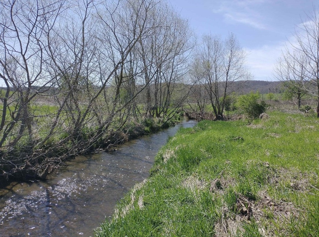 A color photograph of a stream with bare trees and green grass on its banks, designated as Treatment 2.